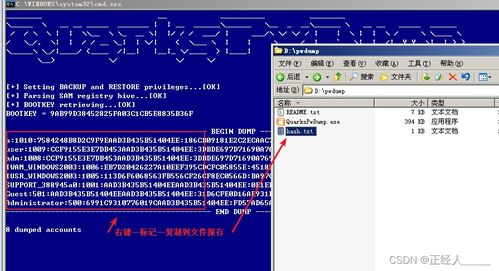 網絡安全必備 Kali Linux中掃描器與爆破工具的選用與實踐